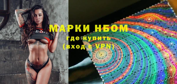 кокс Ессентукская
