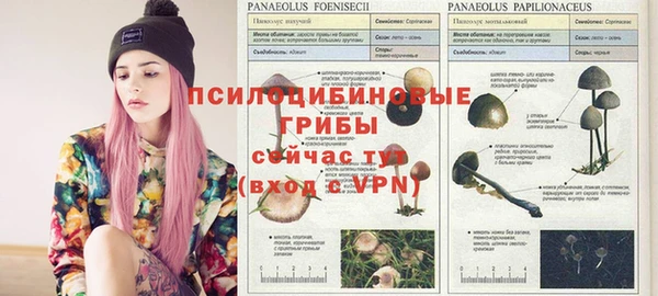 метадон Зеленокумск