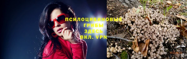 трава Зеленодольск